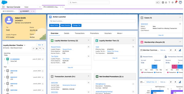 salesforce loyalty management